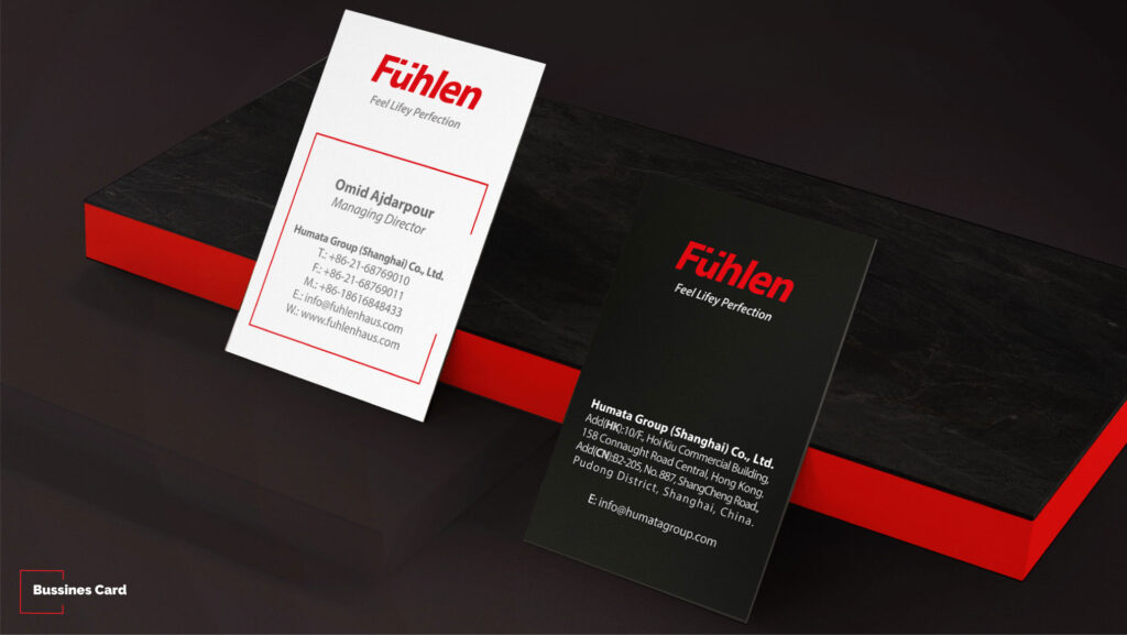 Arranging Brand Guidelines and Visual Elements to start the Marketing Campaign in Iran