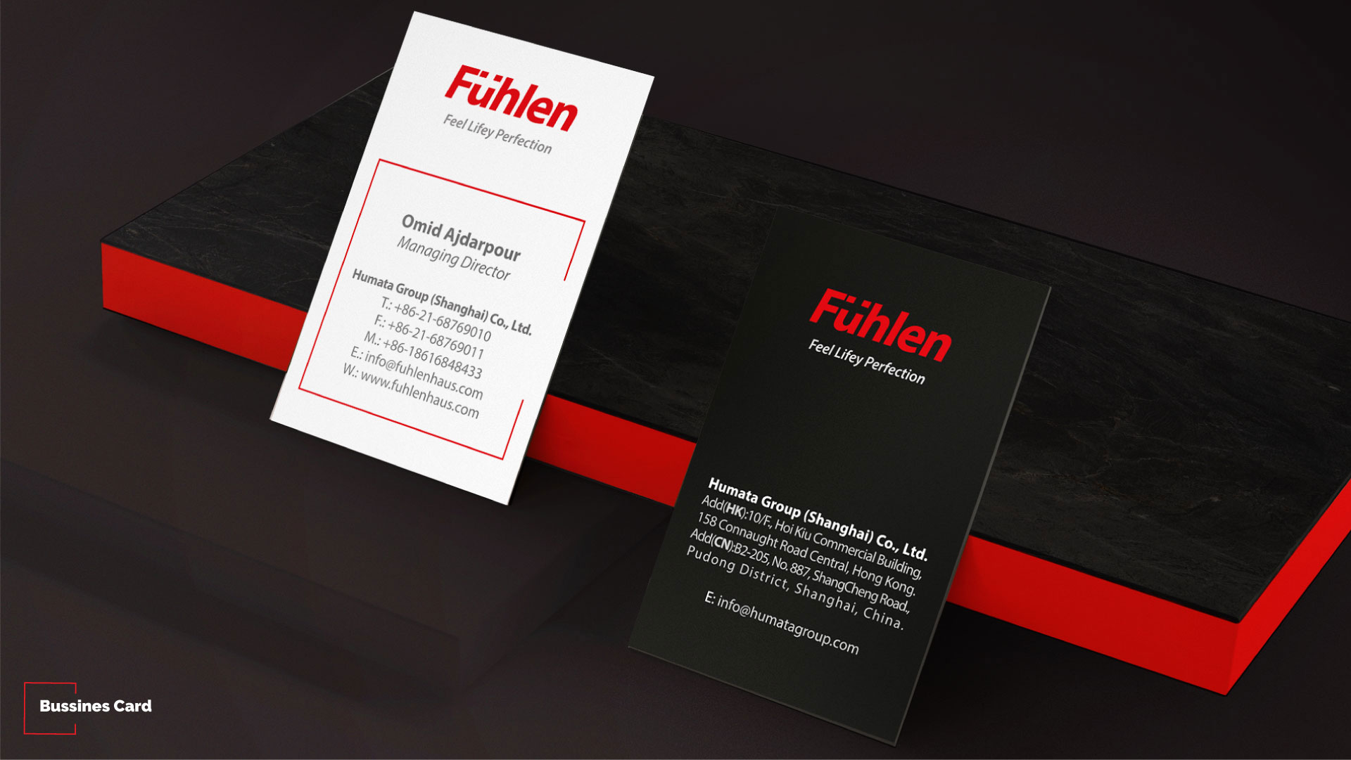 Arranging Brand Guidelines and Visual Elements to start the Marketing Campaign in Iran